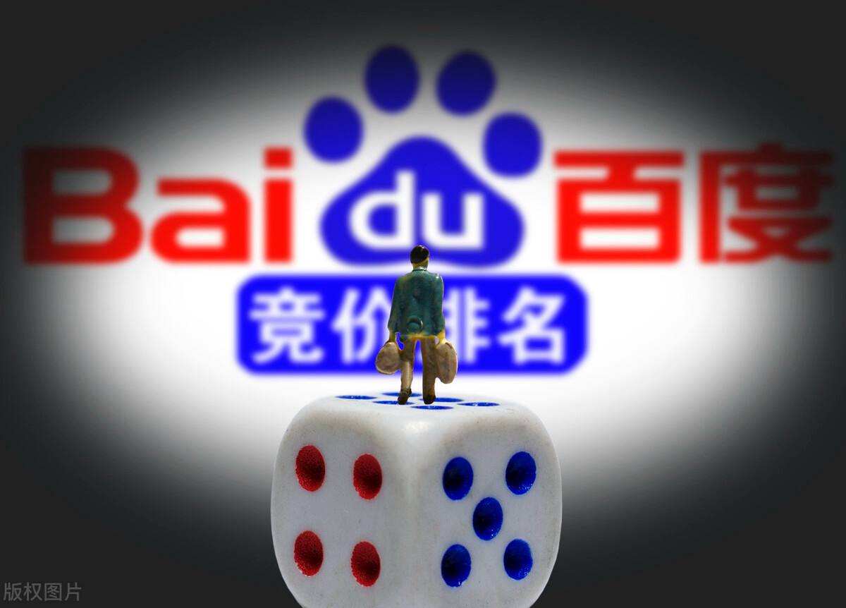 蜘蛛池与Google爬虫配合度解析